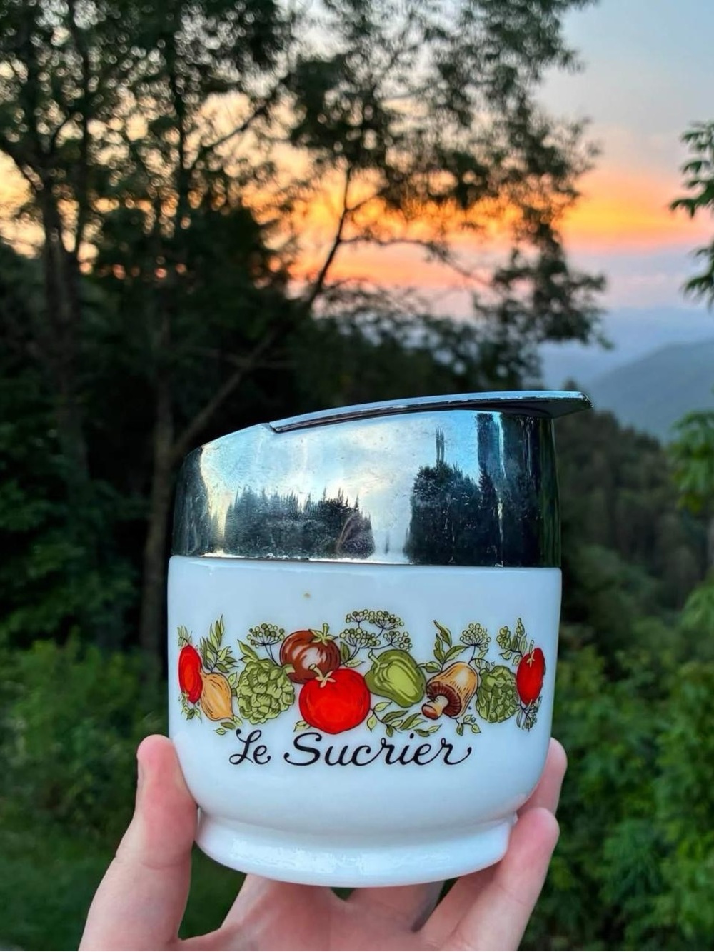 Vintage Spice of Life Le Sucrier sugar container